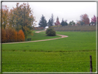 foto Paesaggi Autunnali tra le Colline 